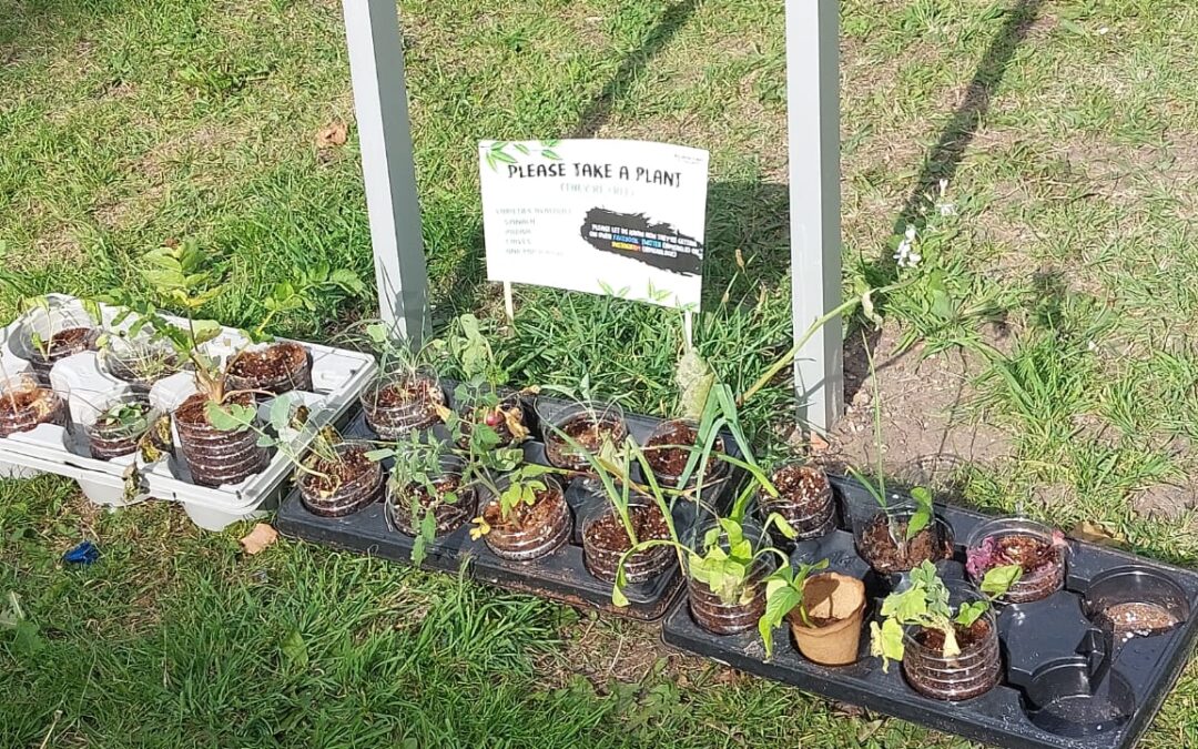 Food growing plants for the community