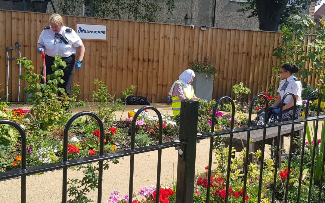 Volunteers plant fruit trees at UrbanScape