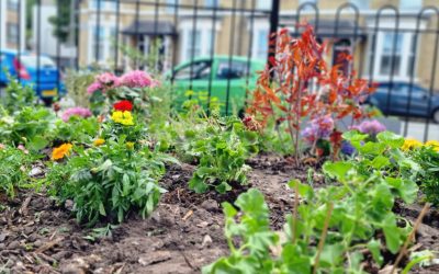 Garden replanted!